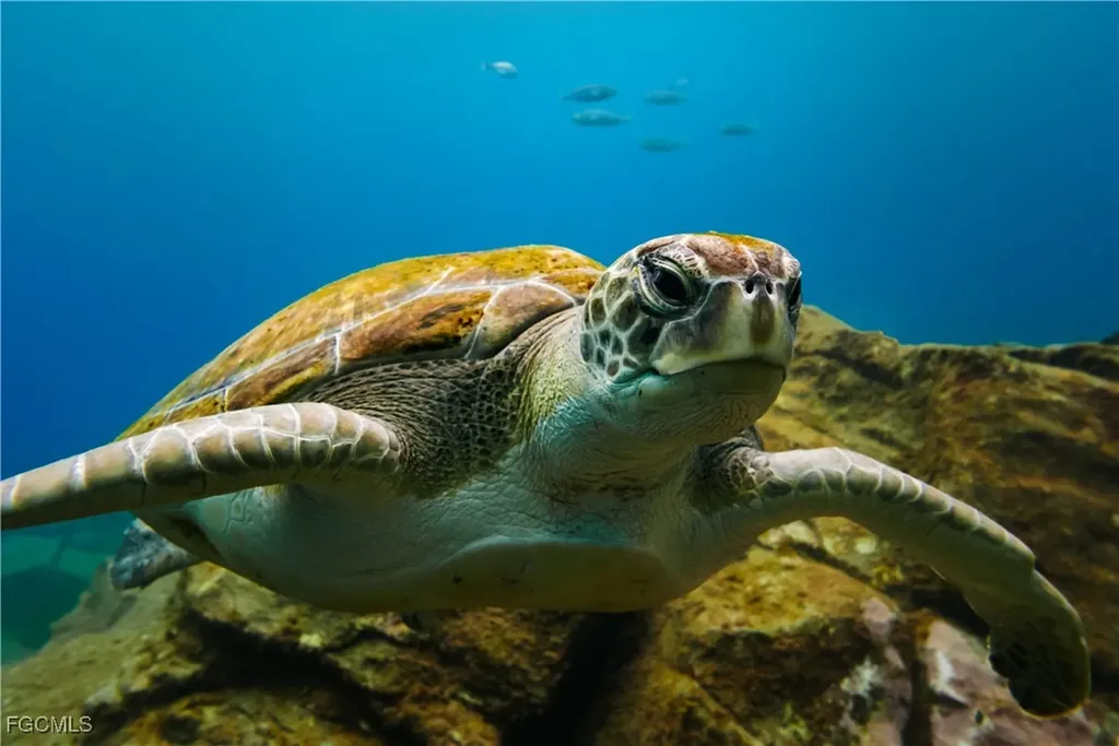 626 NE 12th Street Cape Coral FL 33909