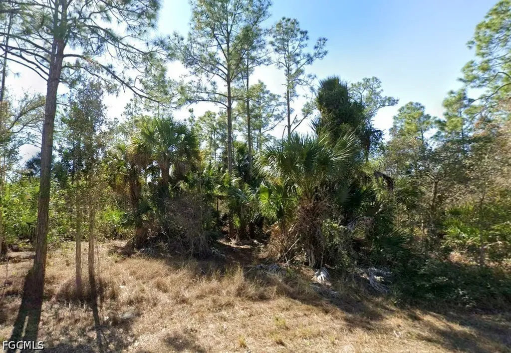 1105 W 14th Street Lehigh Acres FL 33972