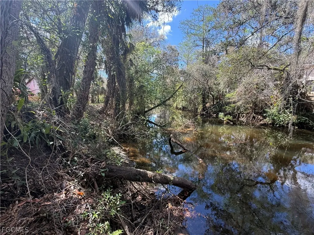 18670 Telegraph Creek Lane Alva FL 33920