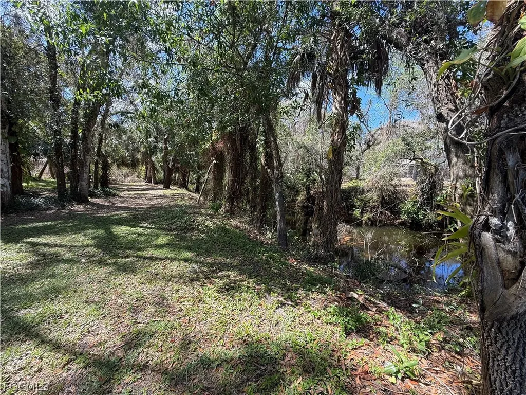 18670 Telegraph Creek Lane Alva FL 33920