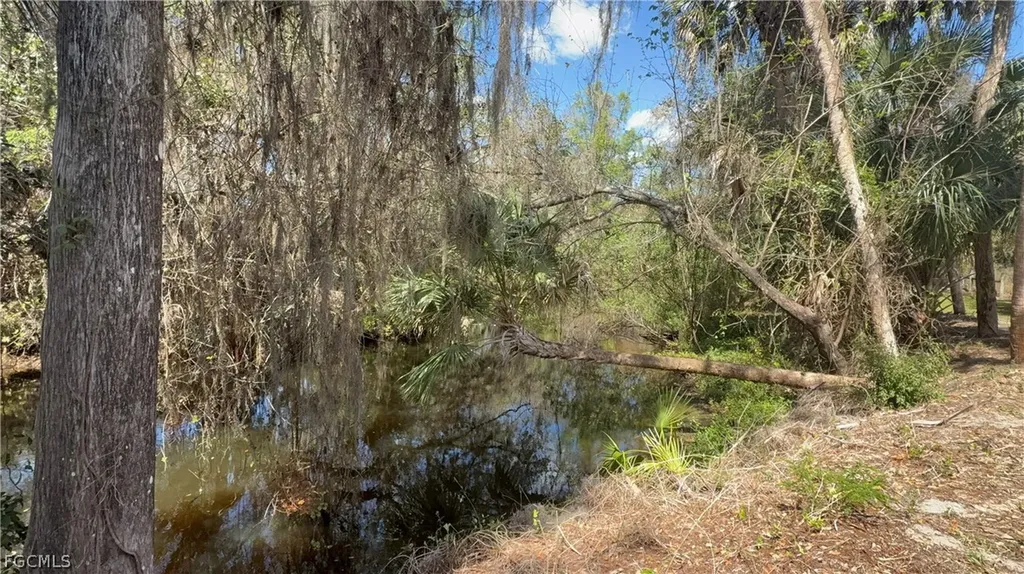 18670 Telegraph Creek Lane Alva FL 33920