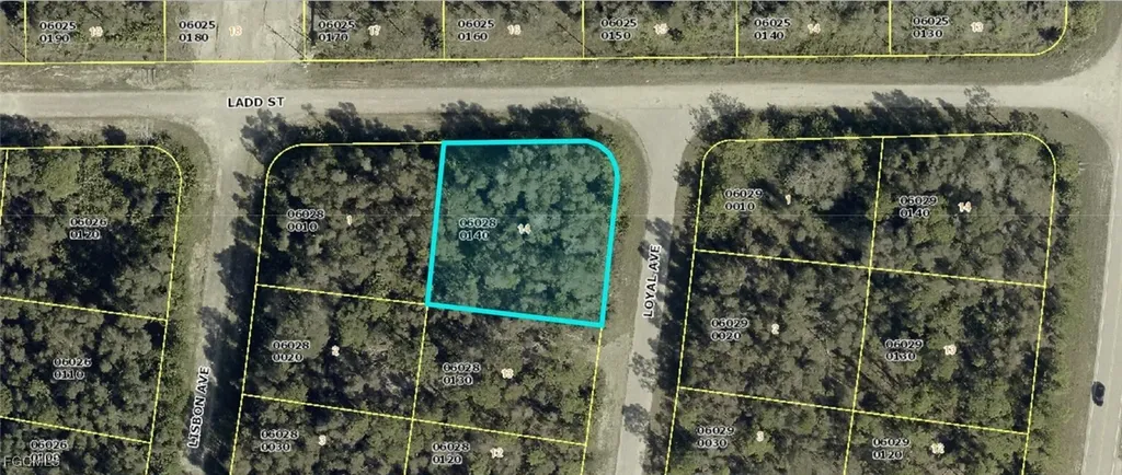 1008 Loyal Avenue S Lehigh Acres FL 33974
