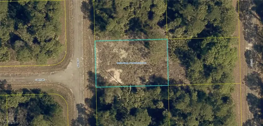 1215 Austin Street Labelle FL 33935