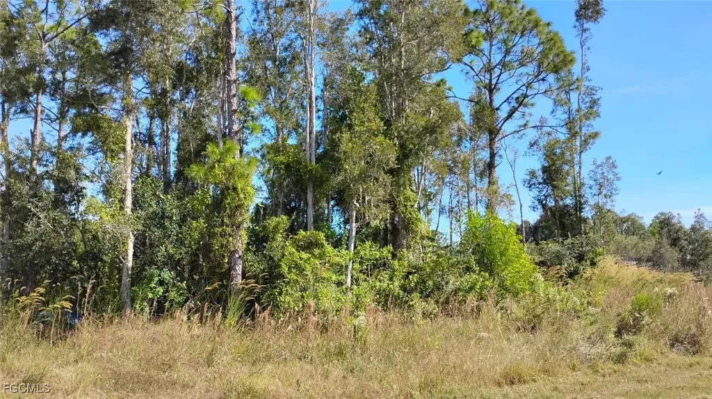 4810 30th Street SW Lehigh Acres FL 33973