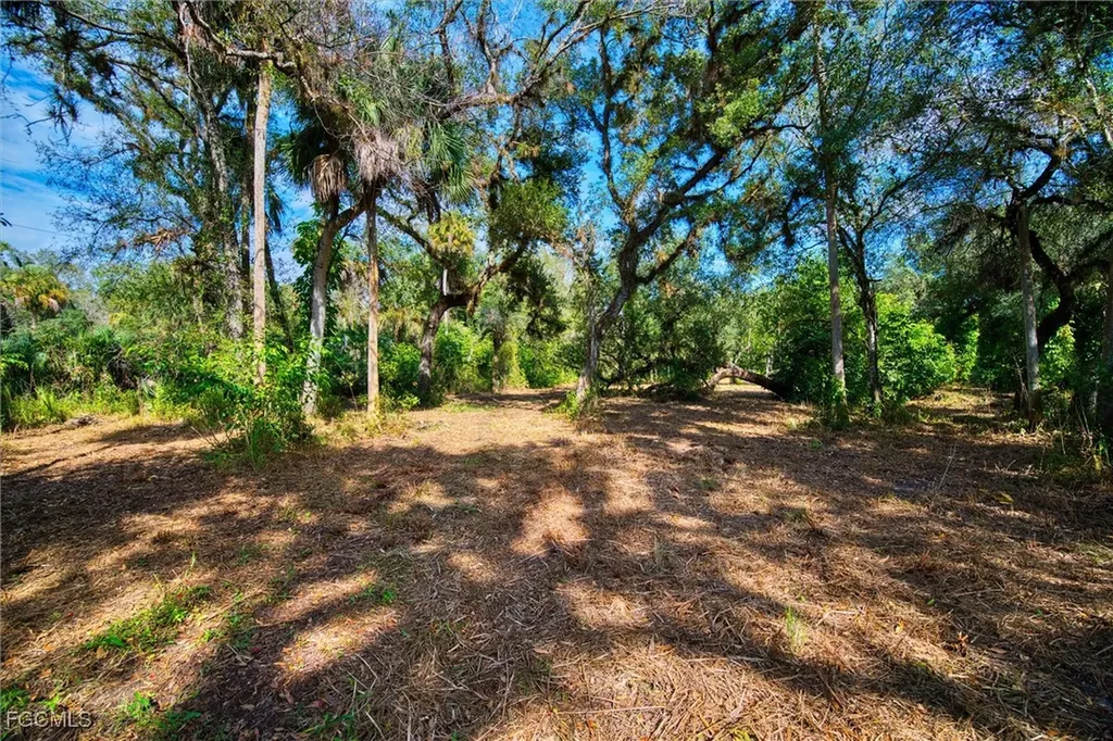 14221 River Road Fort Myers FL 33905