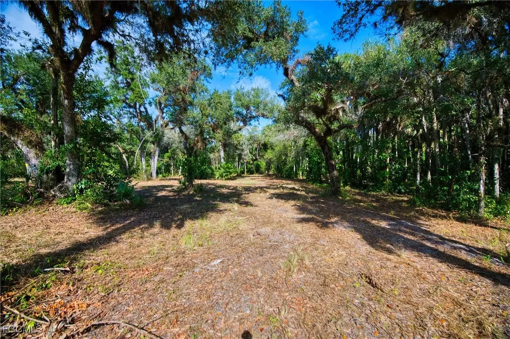 14221 River Road Fort Myers FL 33905