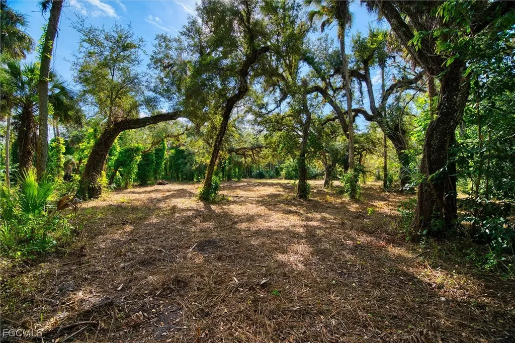 14221 River Road Fort Myers FL 33905