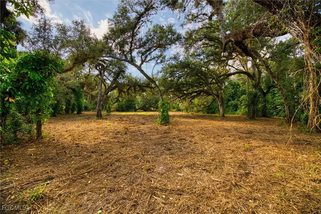 14221 River Road Fort Myers FL 33905