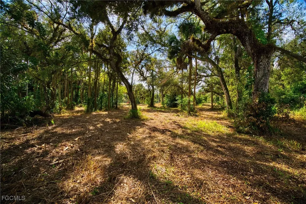 14221 River Road Fort Myers FL 33905