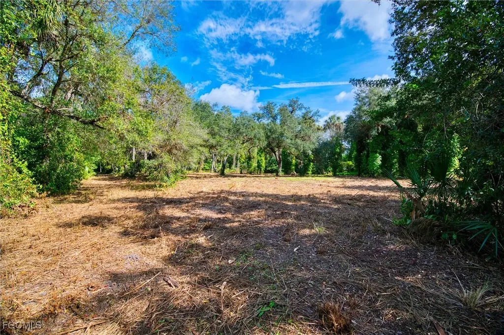 14221 River Road Fort Myers FL 33905