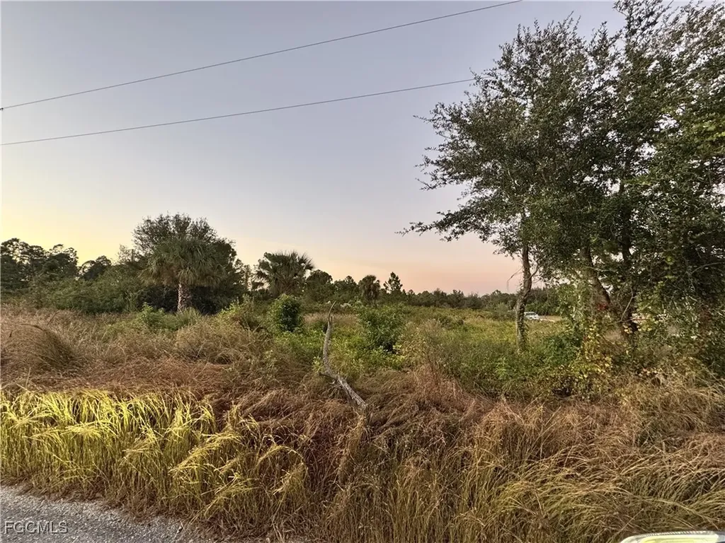 4307 E 19th Street Lehigh Acres FL 33972