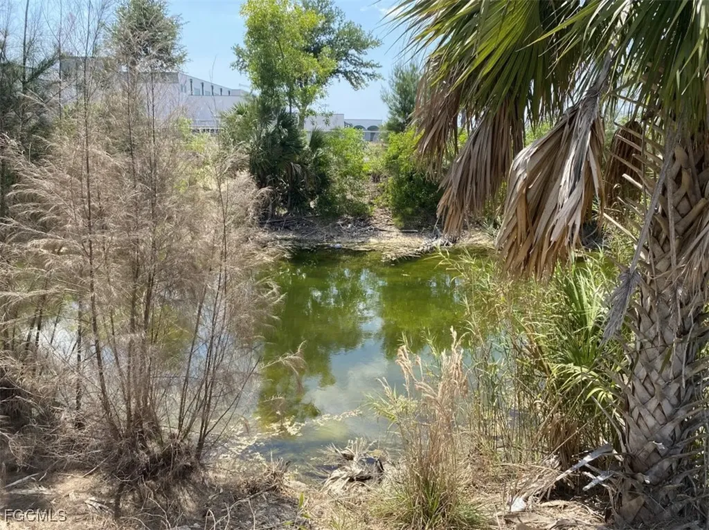 3808 NE 23rd Avenue Cape Coral FL 33909