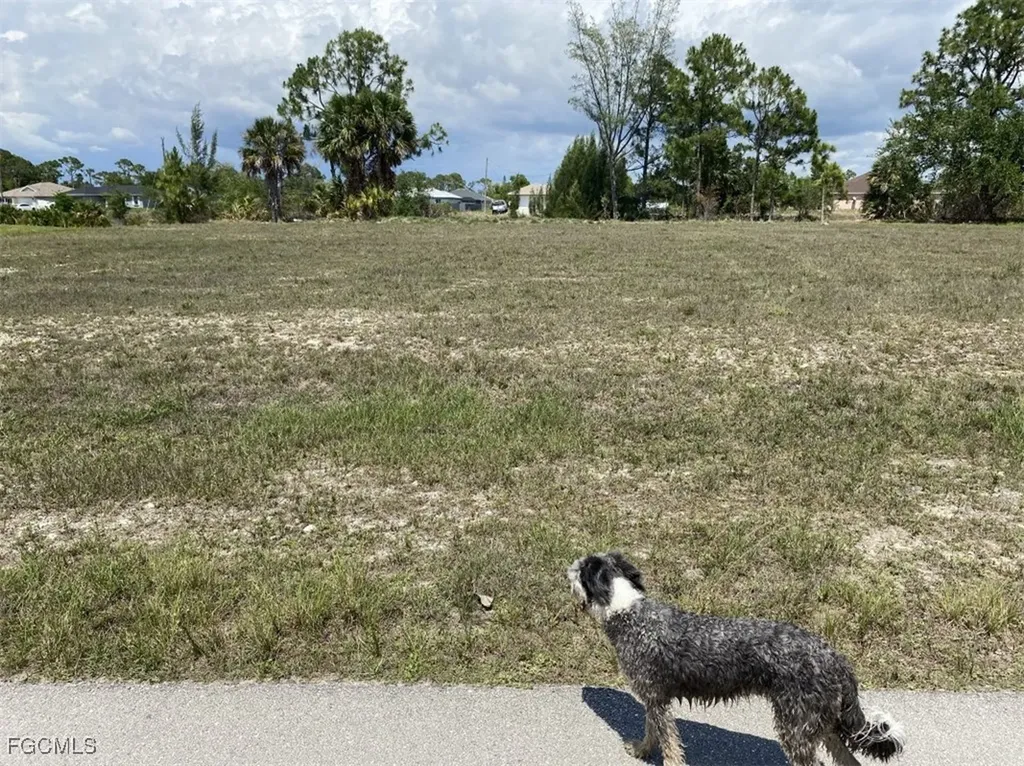 4405 NE 22nd Avenue Cape Coral FL 33909