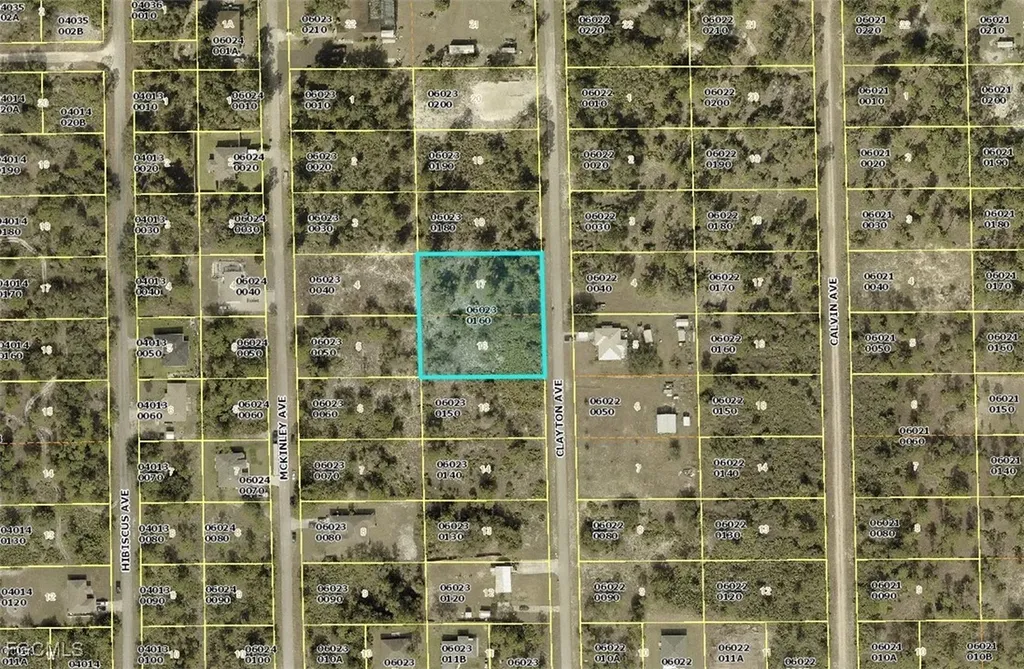 1711 Clayton Avenue Lehigh Acres FL 33972
