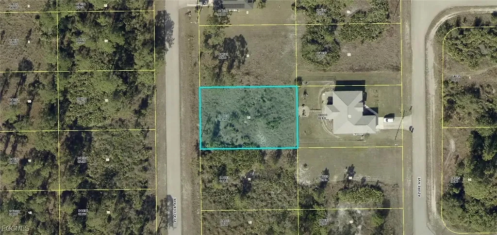 723 Peacock Avenue Lehigh Acres FL 33974