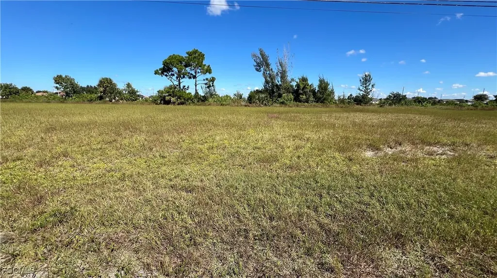 209 NW 19th Terrace Cape Coral FL 33993