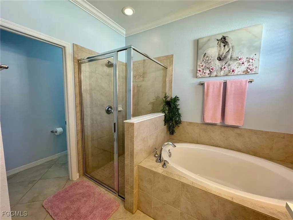 2536 Laurentina Lane Cape Coral FL 33909