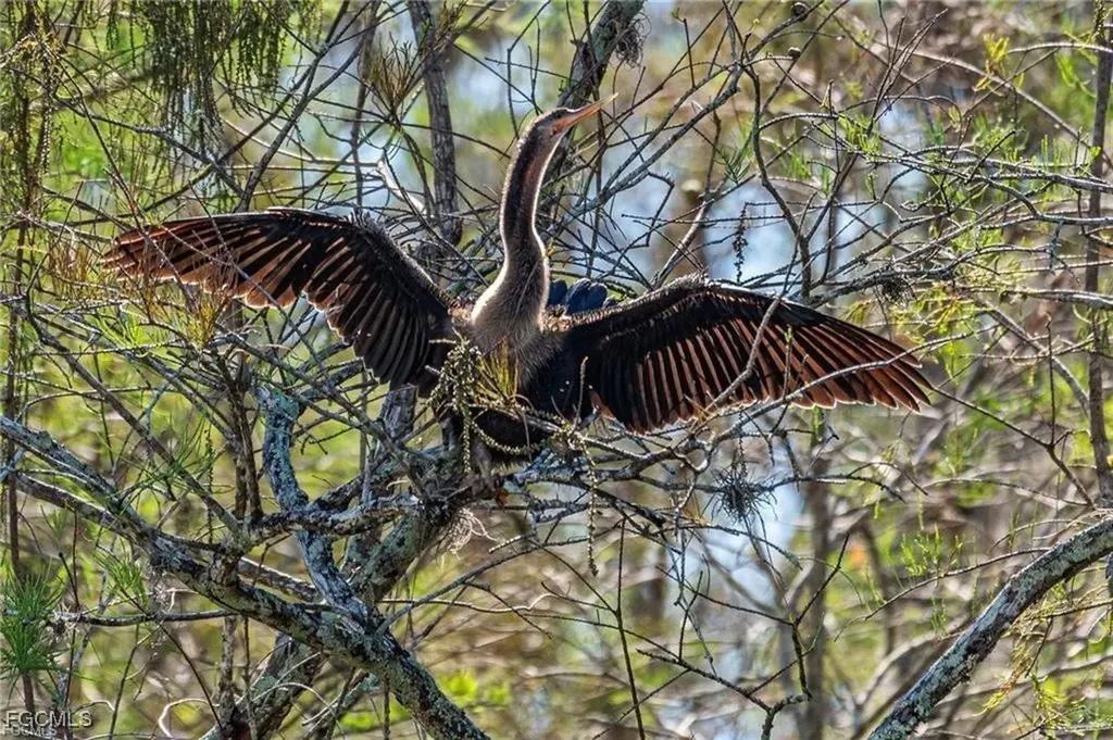 17800 Grand Chenier Road Fort Myers FL 33913