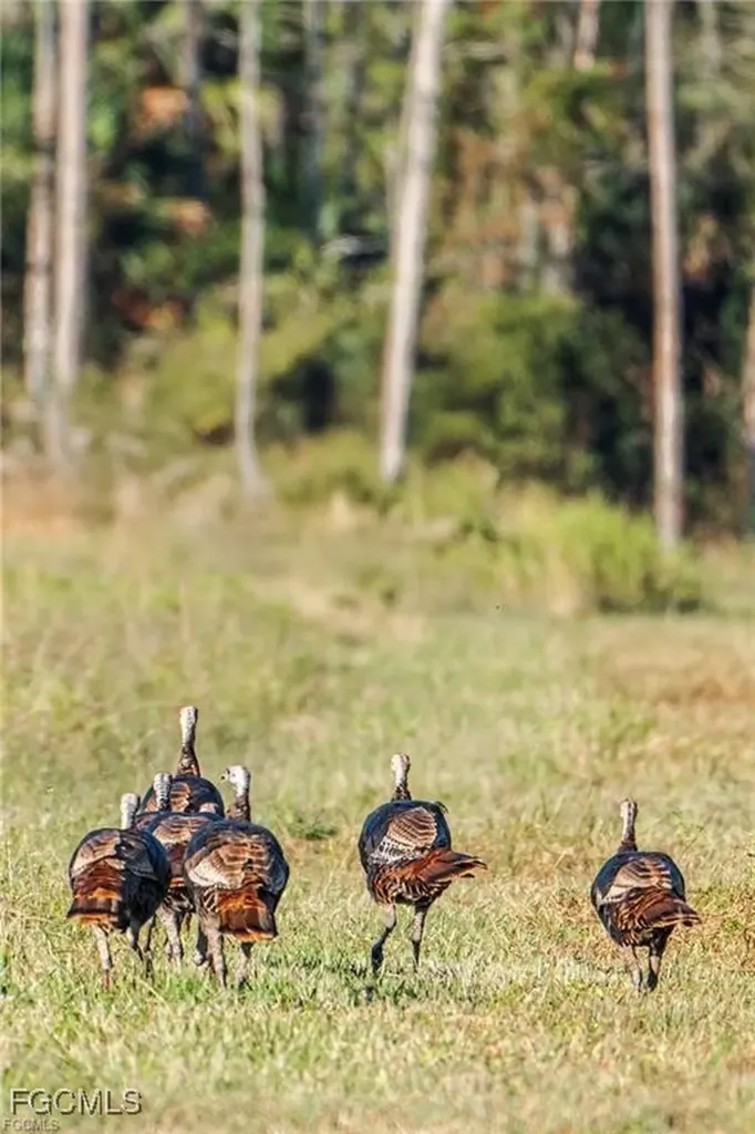 17800 Grand Chenier Road Fort Myers FL 33913