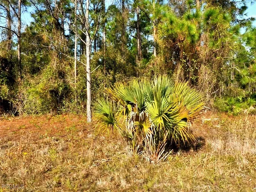 Lot 24 Marlborough Avenue North Port FL 34288