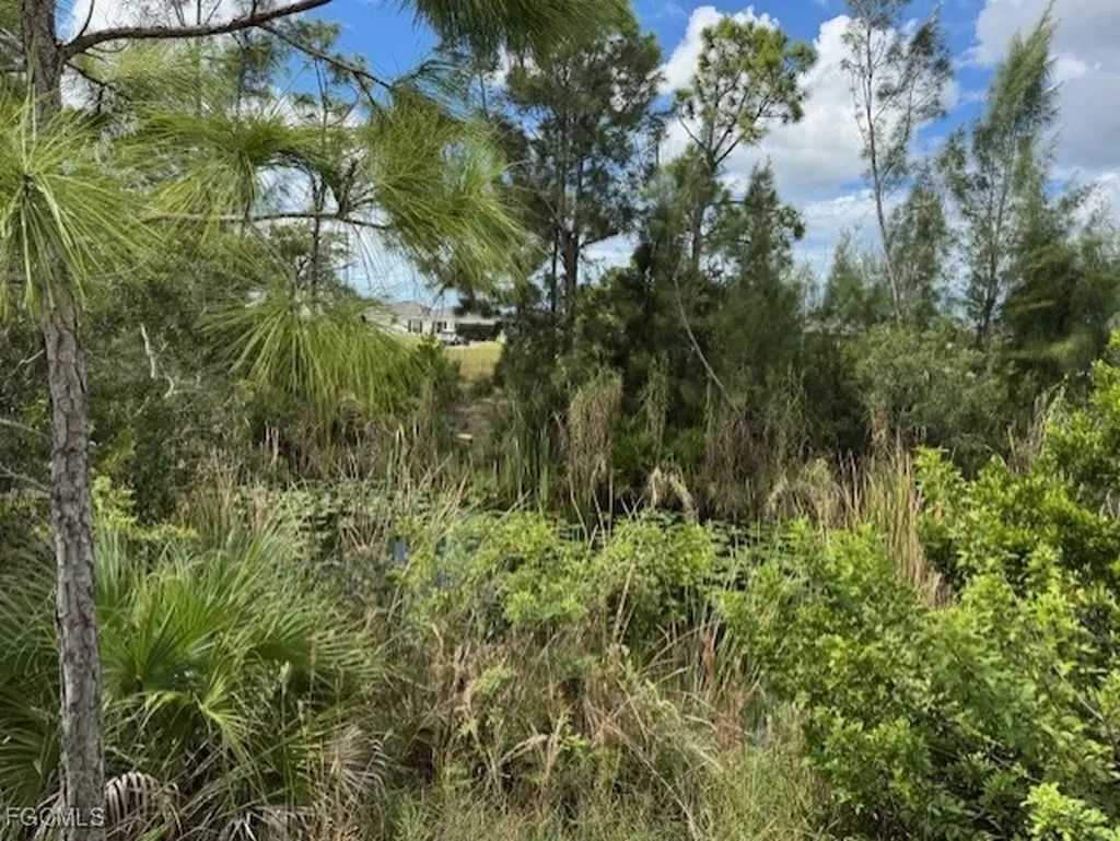 2426 NW 18th Place Cape Coral FL 33993