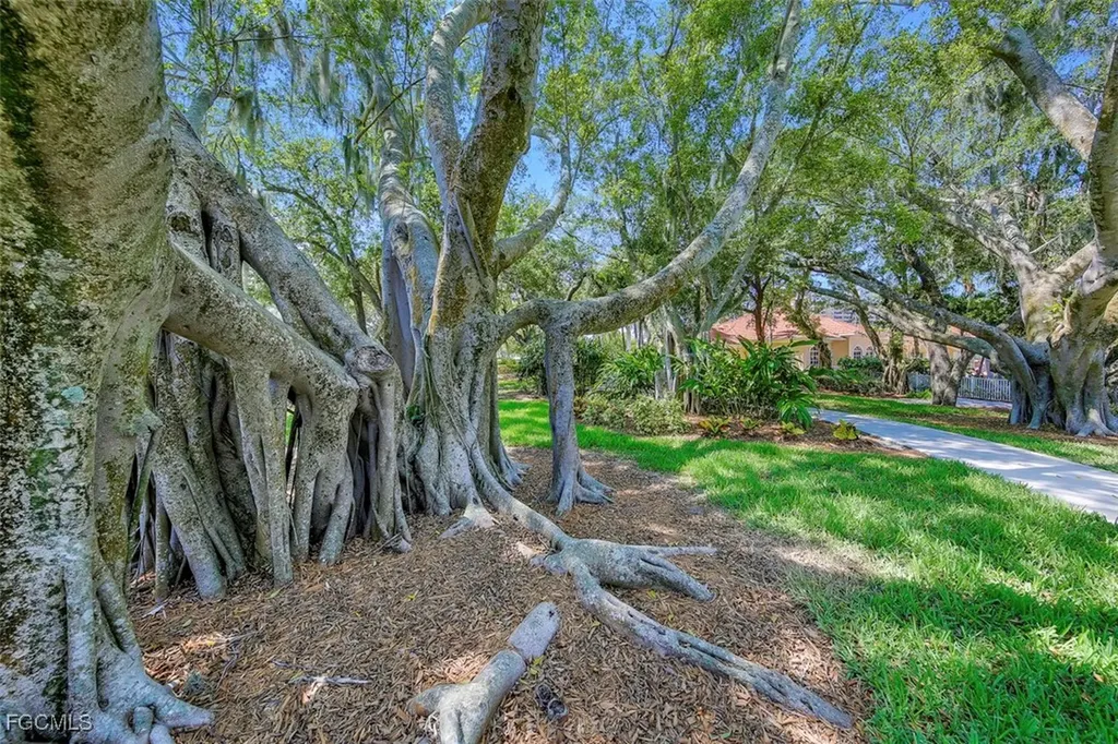 6081 Silver King Boulevard Cape Coral FL 33914