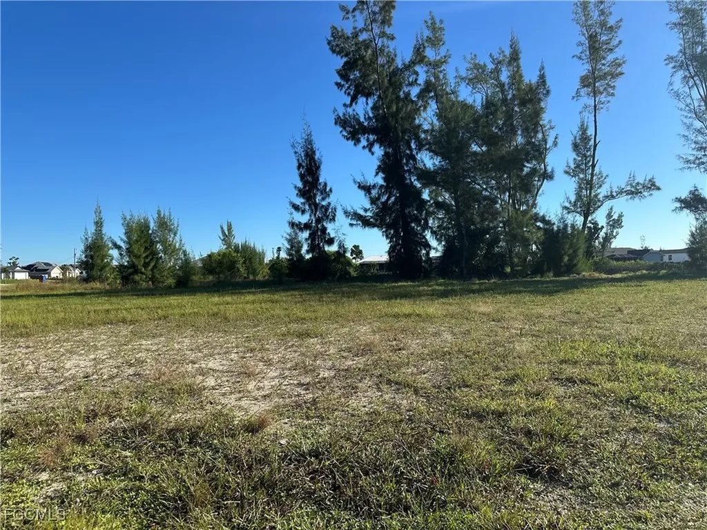 1241 NW 20th Place Cape Coral FL 33993