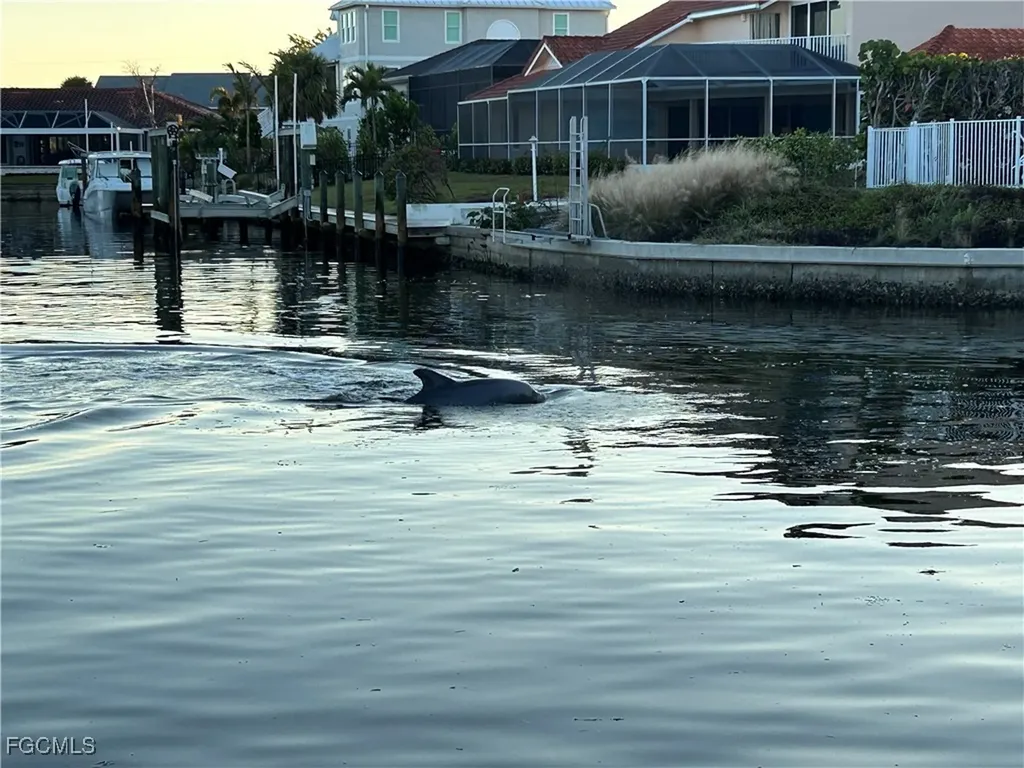 946 Whelk Drive Sanibel FL 33957