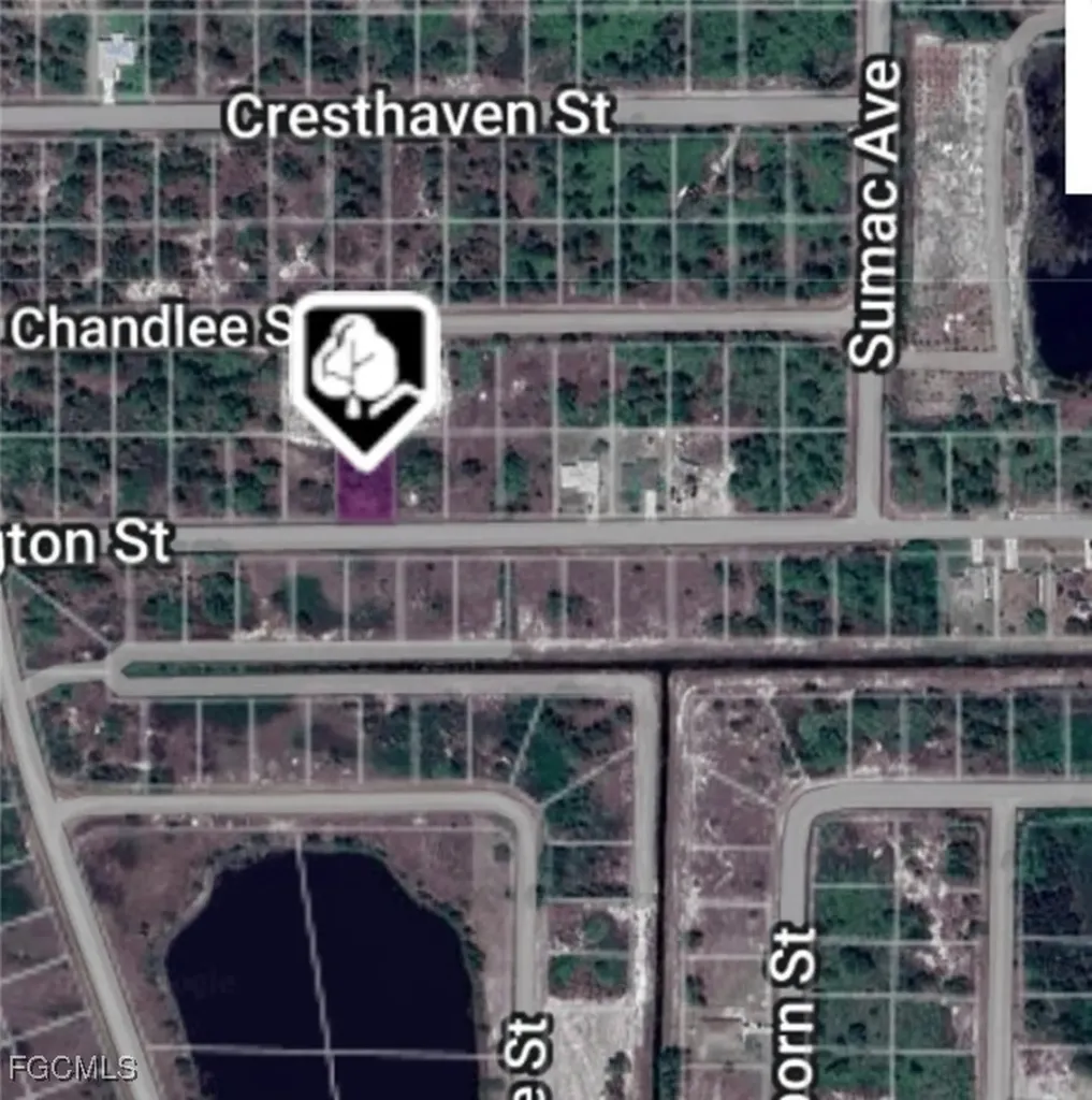 1035 Darlington Street Lehigh Acres FL 33974