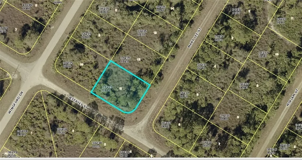 1917 Mary Lee Street Lehigh Acres FL 33972
