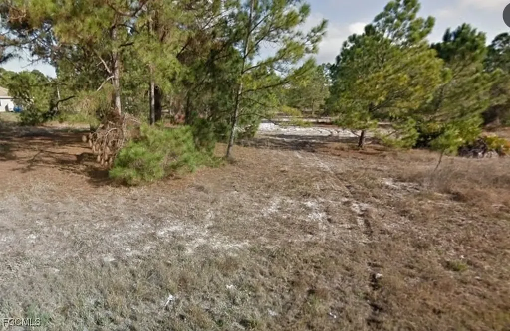 853 Carpenter Street E Lehigh Acres FL 33974