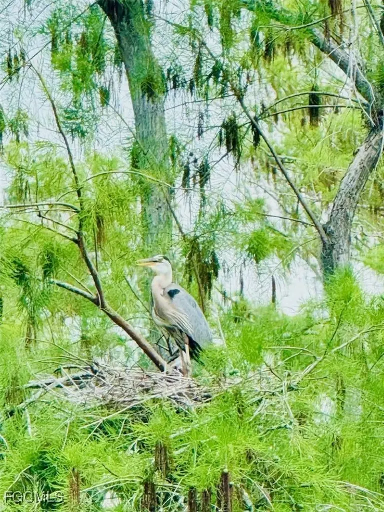 10483 Materita Drive Fort Myers FL 33913