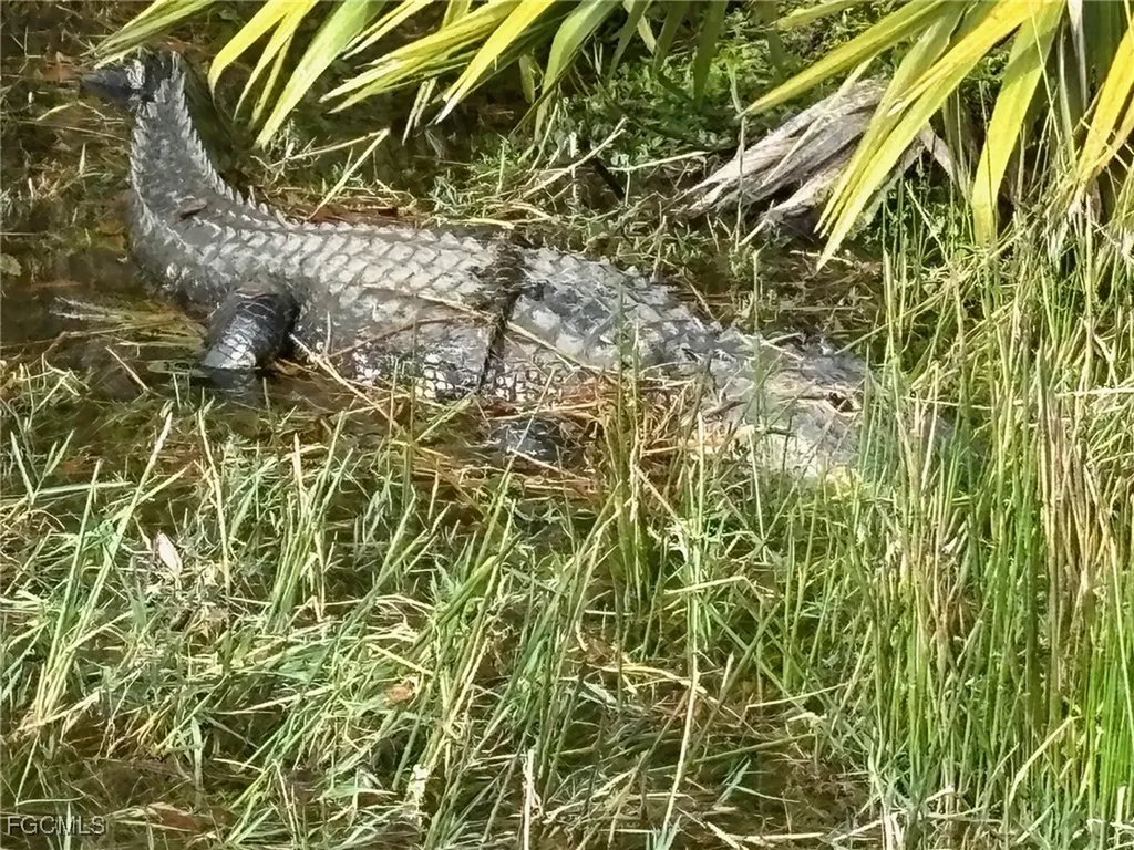 10483 Materita Drive Fort Myers FL 33913