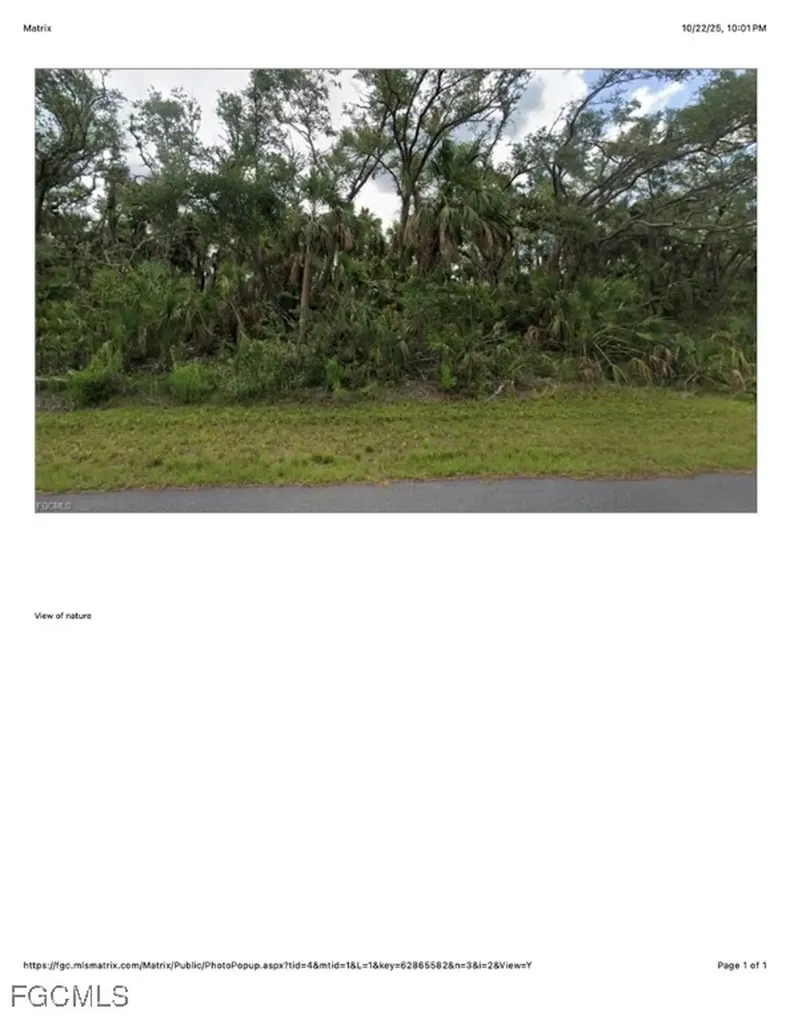1607 Louis Avenue Lehigh Acres FL 33972