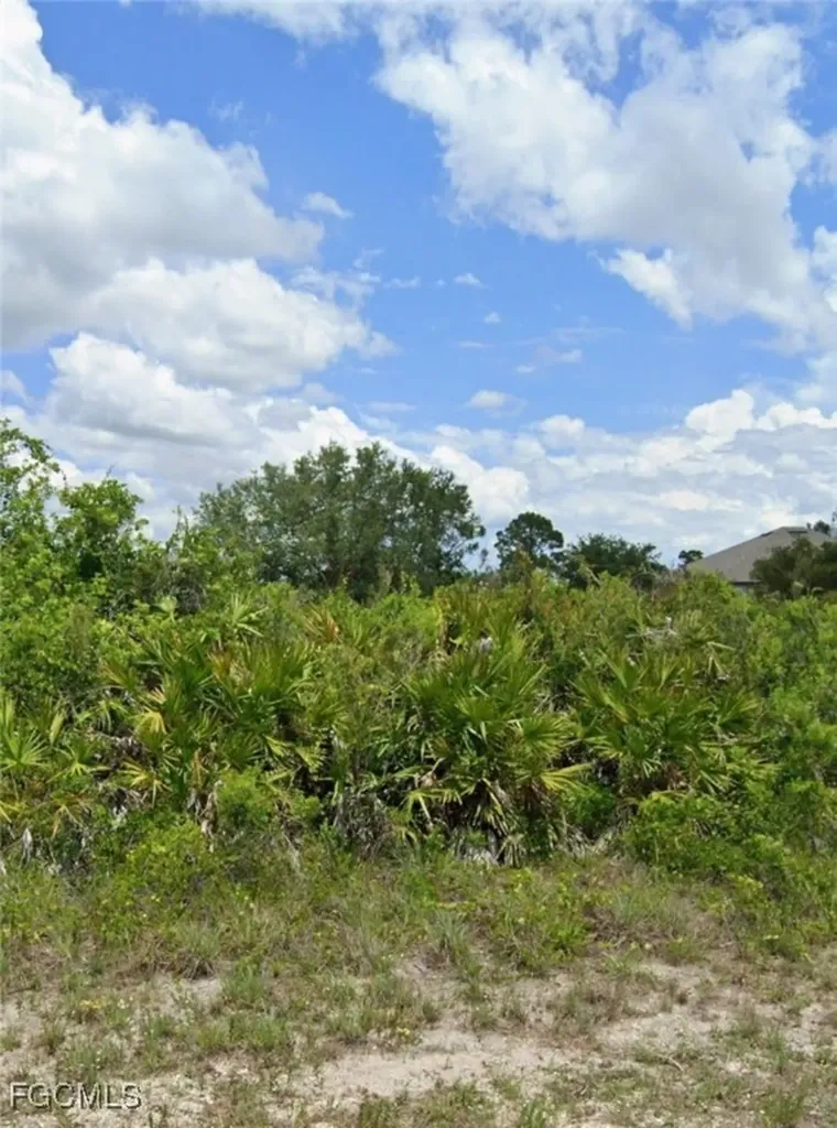 6012 Laura Avenue N Lehigh Acres FL 33971
