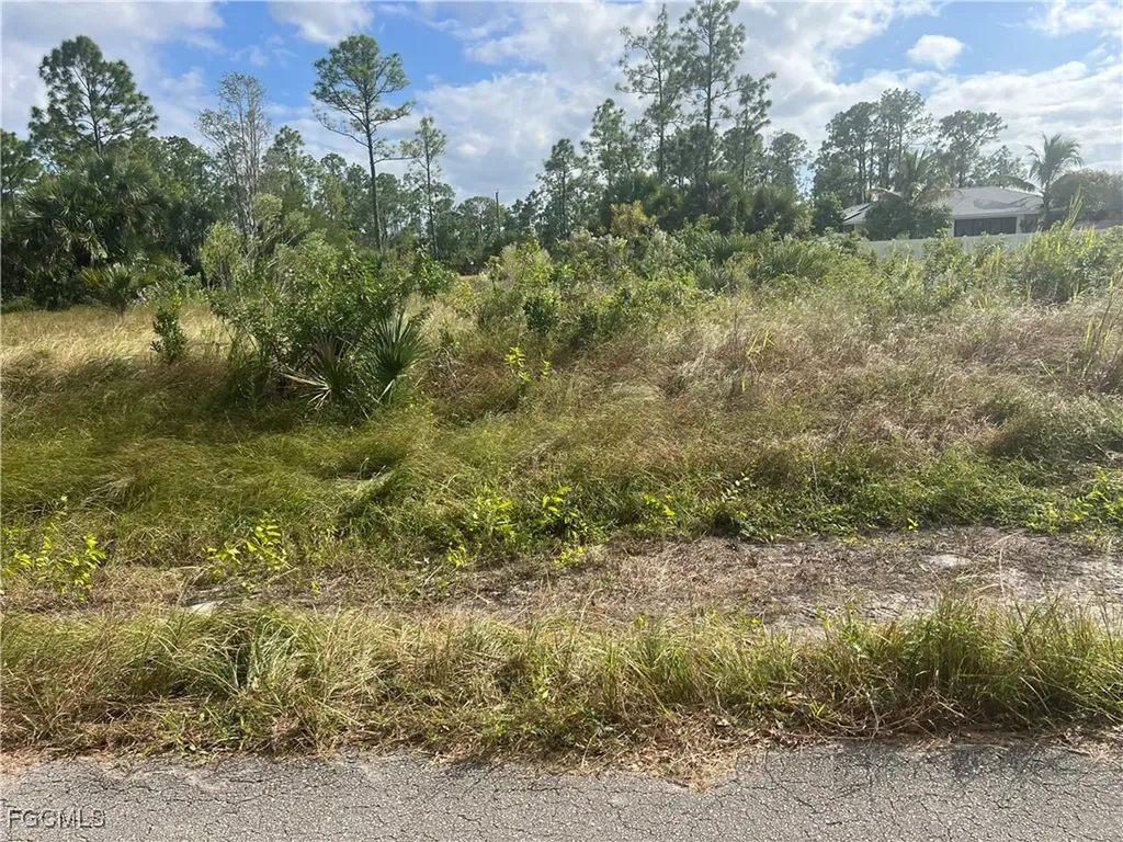 716 Chambers Street E Lehigh Acres FL 33974