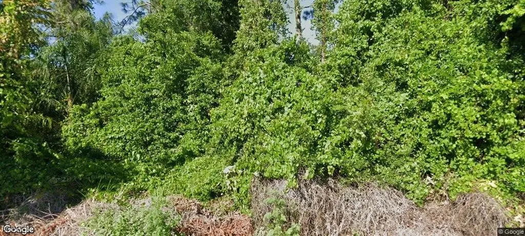 1557 Spring Lane Lake Placid FL 33852