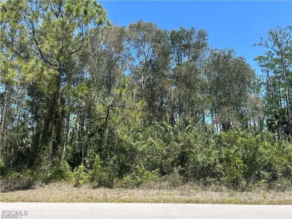 665 Knapp Street Lehigh Acres FL 33974