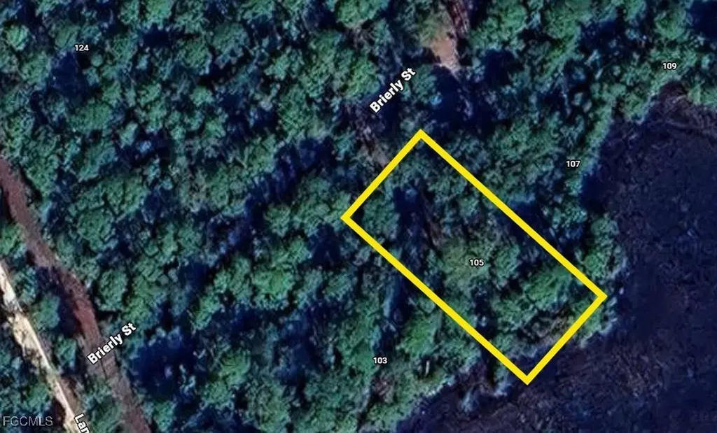 105 Brierly Street Georgetown FL 32139