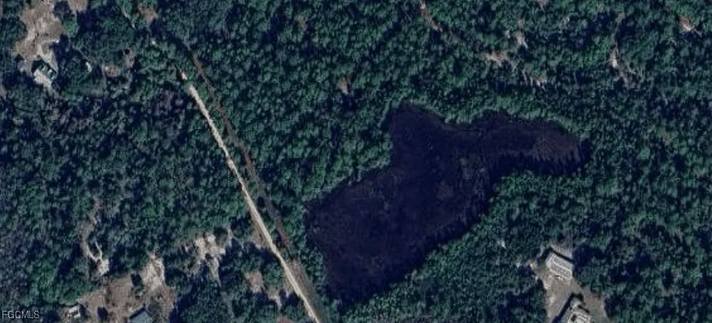 105 Brierly Street Georgetown FL 32139