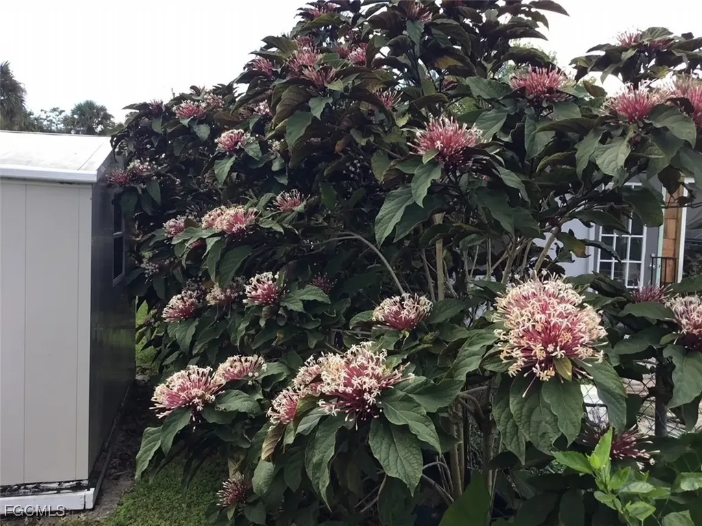 2256 Marina Park Drive Fort Myers FL 33905