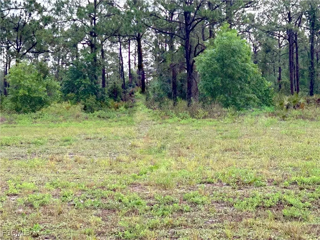 4361 NW 34 Avenue Cape Coral FL 33993