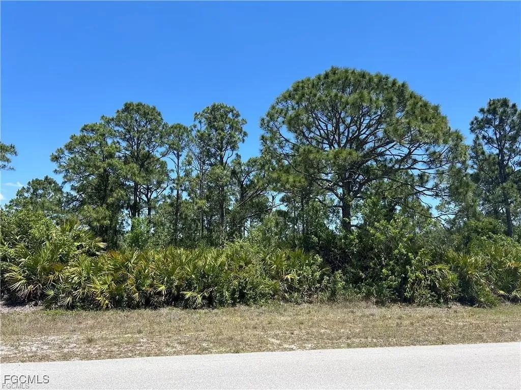 1135 Jaguar Boulevard Lehigh Acres FL 33974