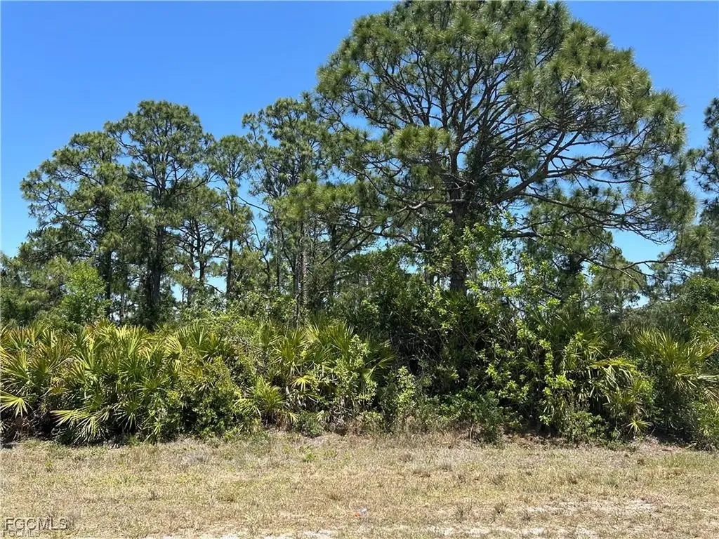 1135 Jaguar Boulevard Lehigh Acres FL 33974