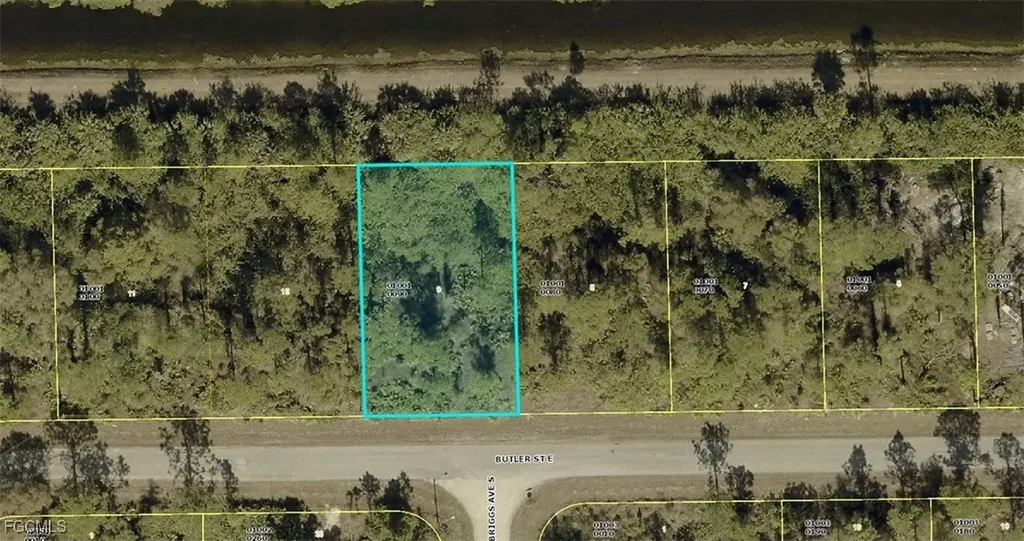 909 Butler Street E Lehigh Acres FL 33974