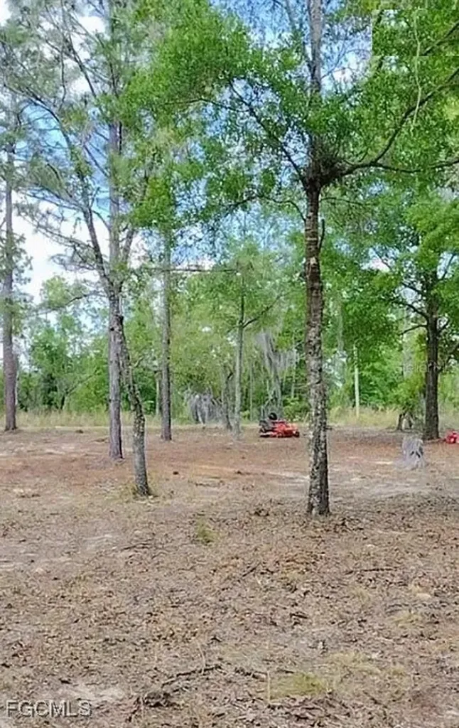 105 Sandpiper Drive Hawthorne FL 32640