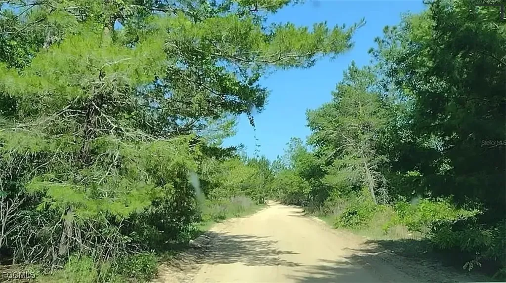 105 Sandpiper Drive Hawthorne FL 32640