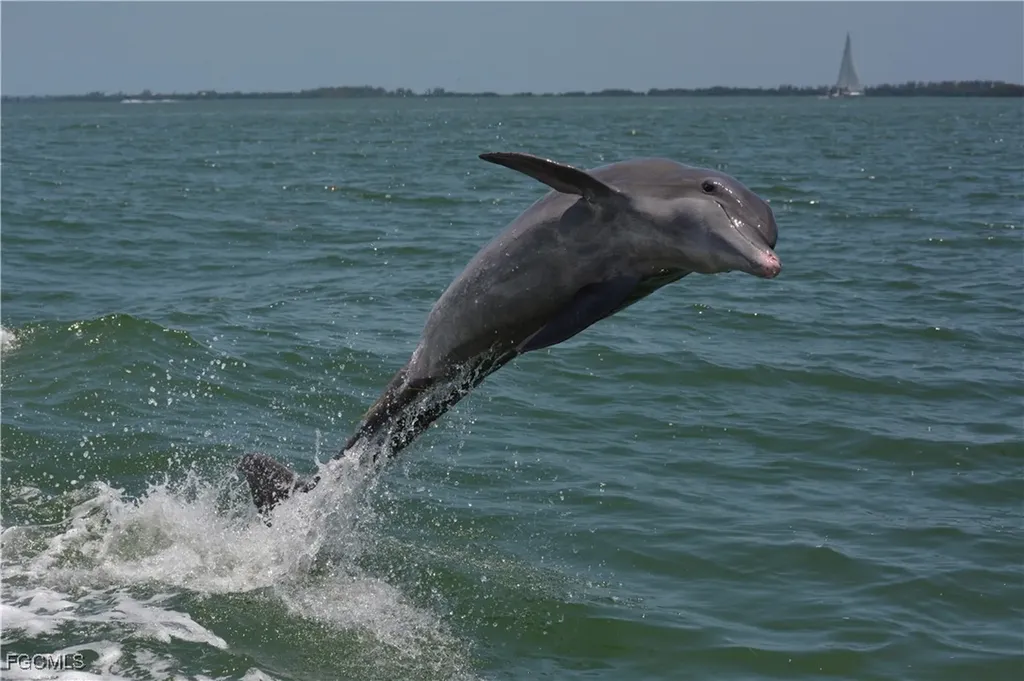 320 Pieces Of Eight Captiva FL 33924