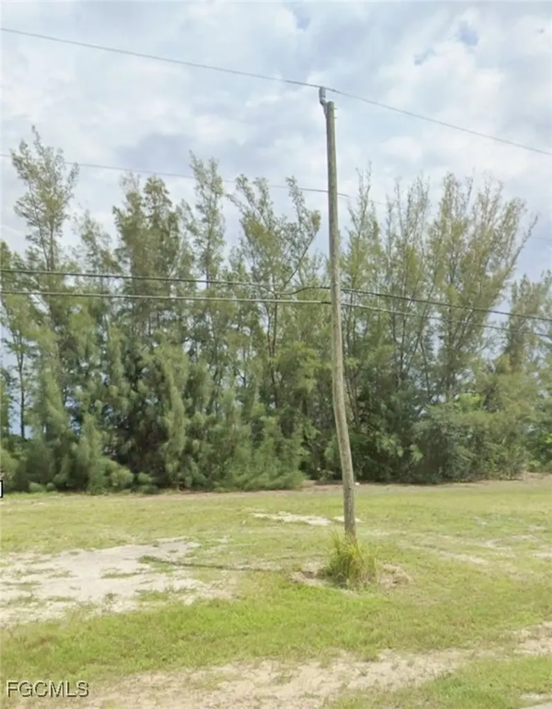 2019 SW 17th Place Cape Coral FL 33991