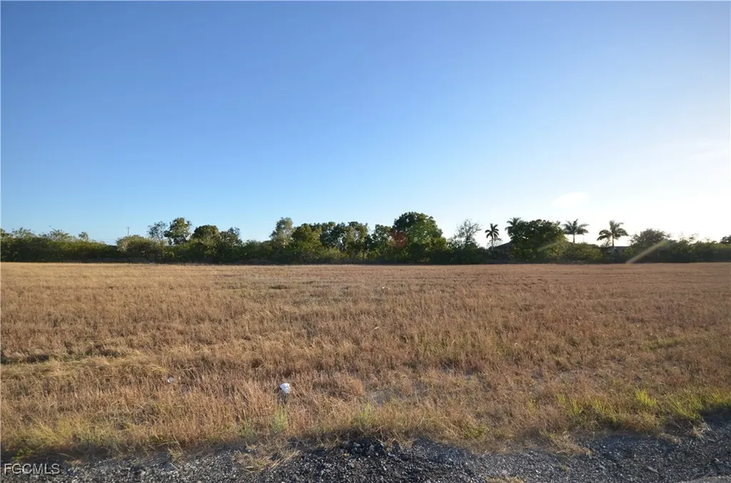 346 NE 15th Terrace Cape Coral FL 33909